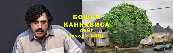 шишки Армянск