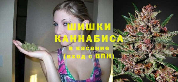 шишки Армянск