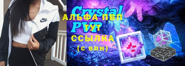 шишки Армянск