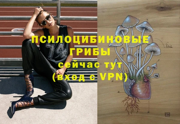 альфа пвп Арсеньев